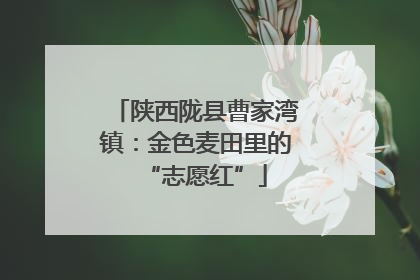 陕西陇县曹家湾镇：金色麦田里的“志愿红”