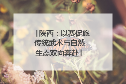 陕西：以赛促旅 传统武术与自然生态双向奔赴