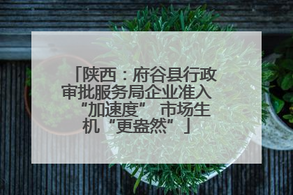 陕西：府谷县行政审批服务局企业准入“加速度” 市场生机“更盎然”
