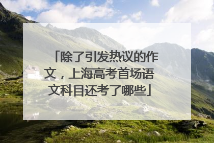 除了引发热议的作文，上海高考首场语文科目还考了哪些