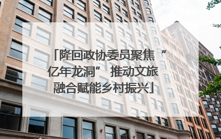 隆回政协委员聚焦“亿年龙洞” 推动文旅融合赋能乡村振兴