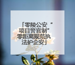 零陵公安“项目警官制”零距离规范执法护企安