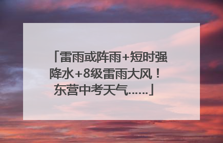 雷雨或阵雨+短时强降水+8级雷雨大风！东营中考天气……