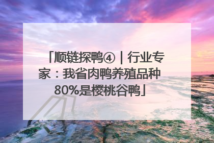 顺链探鸭④｜行业专家：我省肉鸭养殖品种80%是樱桃谷鸭