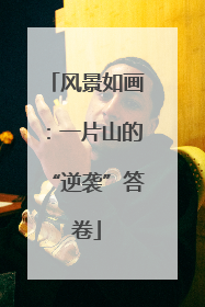 风景如画：一片山的“逆袭”答卷
