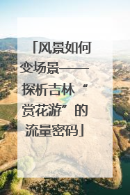 风景如何变场景——探析吉林“赏花游”的流量密码