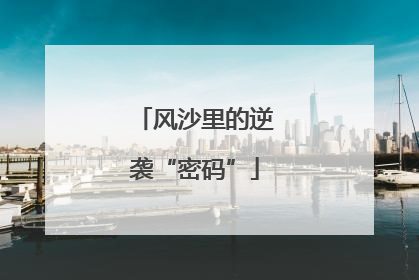 风沙里的逆袭“密码”
