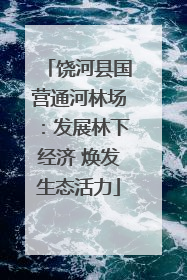 饶河县国营通河林场：发展林下经济 焕发生态活力