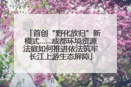 首创“野化放归”新模式……成都环境资源法庭如何推进依法筑牢长江上游生态屏障