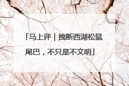 马上评｜拽断西湖松鼠尾巴，不只是不文明