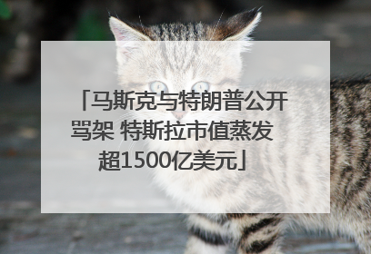 马斯克与特朗普公开骂架 特斯拉市值蒸发超1500亿美元