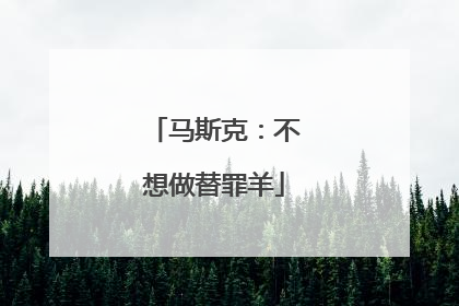 马斯克：不想做替罪羊