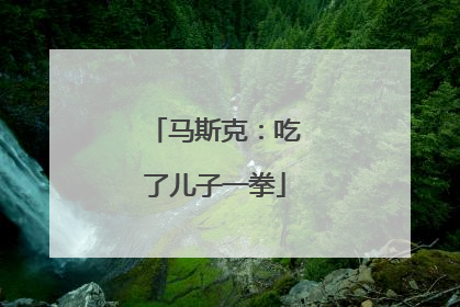 马斯克：吃了儿子一拳