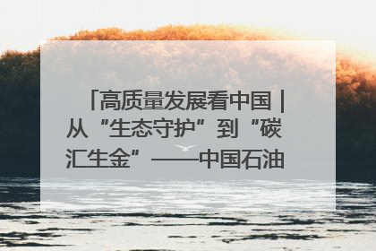 高质量发展看中国｜从“生态守护”到“碳汇生金”——中国石油大庆油田绿色蝶变