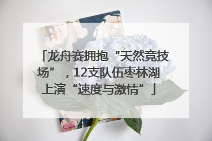 龙舟赛拥抱“天然竞技场”，12支队伍枣林湖上演“速度与激情”
