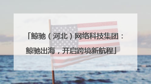 鲸驰（河北）网络科技集团：鲸驰出海，开启跨境新航程