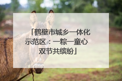 鹤壁市城乡一体化示范区：一粽一童心 双节共缤纷