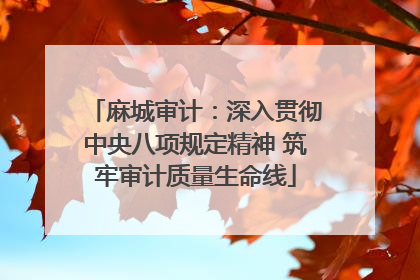 麻城审计：深入贯彻中央八项规定精神 筑牢审计质量生命线