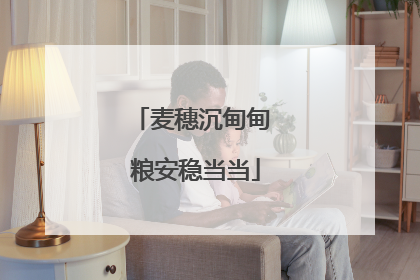 麦穗沉甸甸 粮安稳当当
