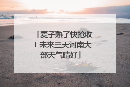 麦子熟了快抢收！未来三天河南大部天气晴好