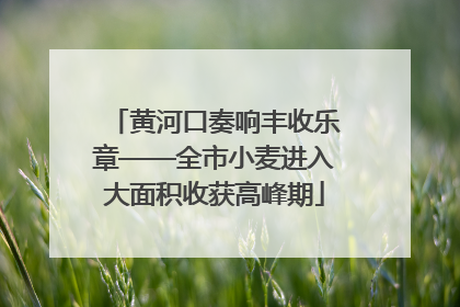 黄河口奏响丰收乐章——全市小麦进入大面积收获高峰期