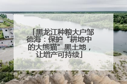 黑龙江种粮大户邹德海：保护“耕地中的大熊猫”黑土地，让增产可持续