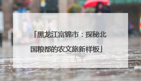 黑龙江富锦市：探秘北国粮都的农文旅新样板