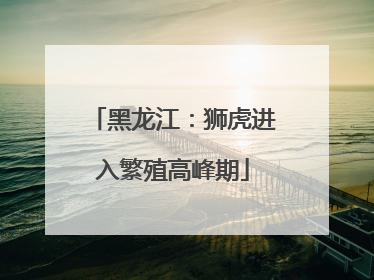 黑龙江：狮虎进入繁殖高峰期