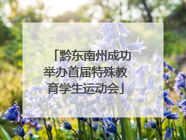 黔东南州成功举办首届特殊教育学生运动会