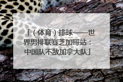 （体育）排球——世界男排联赛芝加哥站：中国队不敌加拿大队