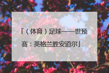 （体育）足球——世预赛：英格兰胜安道尔