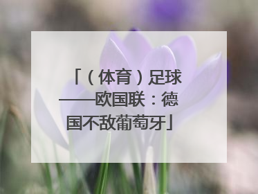 （体育）足球——欧国联：德国不敌葡萄牙