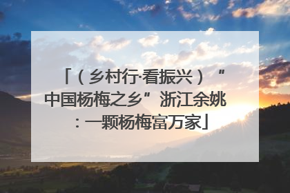 （乡村行·看振兴）“中国杨梅之乡”浙江余姚：一颗杨梅富万家