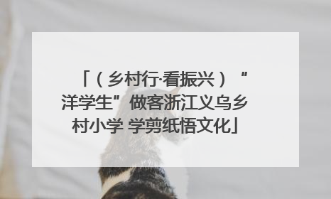 （乡村行·看振兴）“洋学生”做客浙江义乌乡村小学 学剪纸悟文化