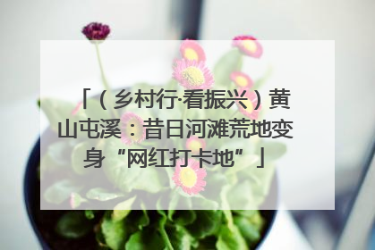 （乡村行·看振兴）黄山屯溪：昔日河滩荒地变身“网红打卡地”