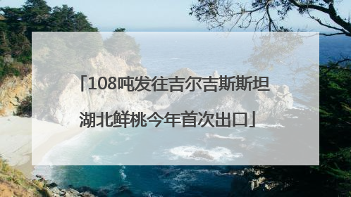 108吨发往吉尔吉斯斯坦 湖北鲜桃今年首次出口