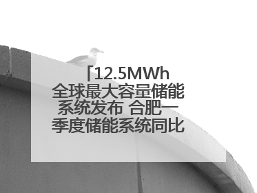 12.5MWh全球最大容量储能系统发布 合肥一季度储能系统同比增长425%