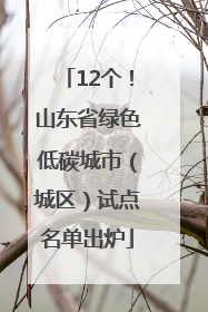 12个！山东省绿色低碳城市（城区）试点名单出炉