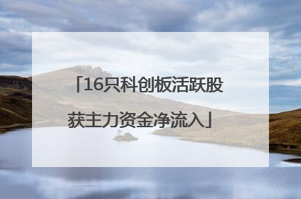 16只科创板活跃股获主力资金净流入