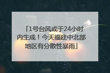1号台风或于24小时内生成！今天福建中北部地区有分散性暴雨