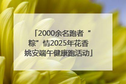 2000余名跑者“粽”情2025年花香姚安端午健康跑活动