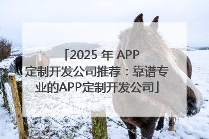 2025 年 APP 定制开发公司推荐：靠谱专业的APP定制开发公司