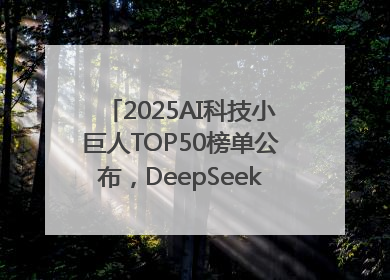 2025AI科技小巨人TOP50榜单公布，DeepSeek、宇树科技、蘑菇车联等企业荣誉上榜