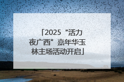2025“活力夜广西”嘉年华玉林主场活动开启