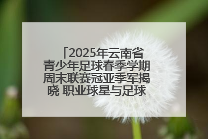 2025年云南省青少年足球春季学期周末联赛冠亚季军揭晓 职业球星与足球小将共享荣耀时刻