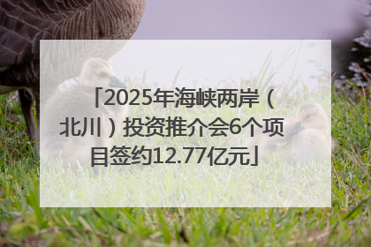 2025年海峡两岸（北川）投资推介会6个项目签约12.77亿元
