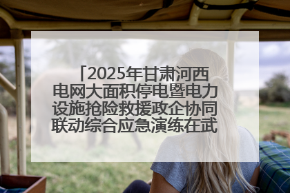 2025年甘肃河西电网大面积停电暨电力设施抢险救援政企协同联动综合应急演练在武威成功举行