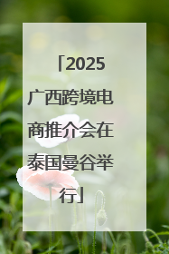 2025广西跨境电商推介会在泰国曼谷举行