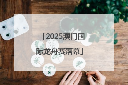2025澳门国际龙舟赛落幕