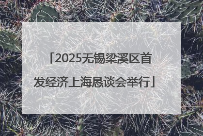 2025无锡梁溪区首发经济上海恳谈会举行